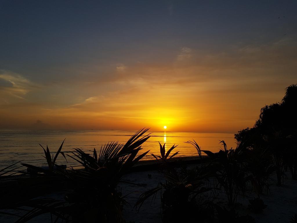 Island Guest Ξενοδοχείο Maamendhoo Εξωτερικό φωτογραφία