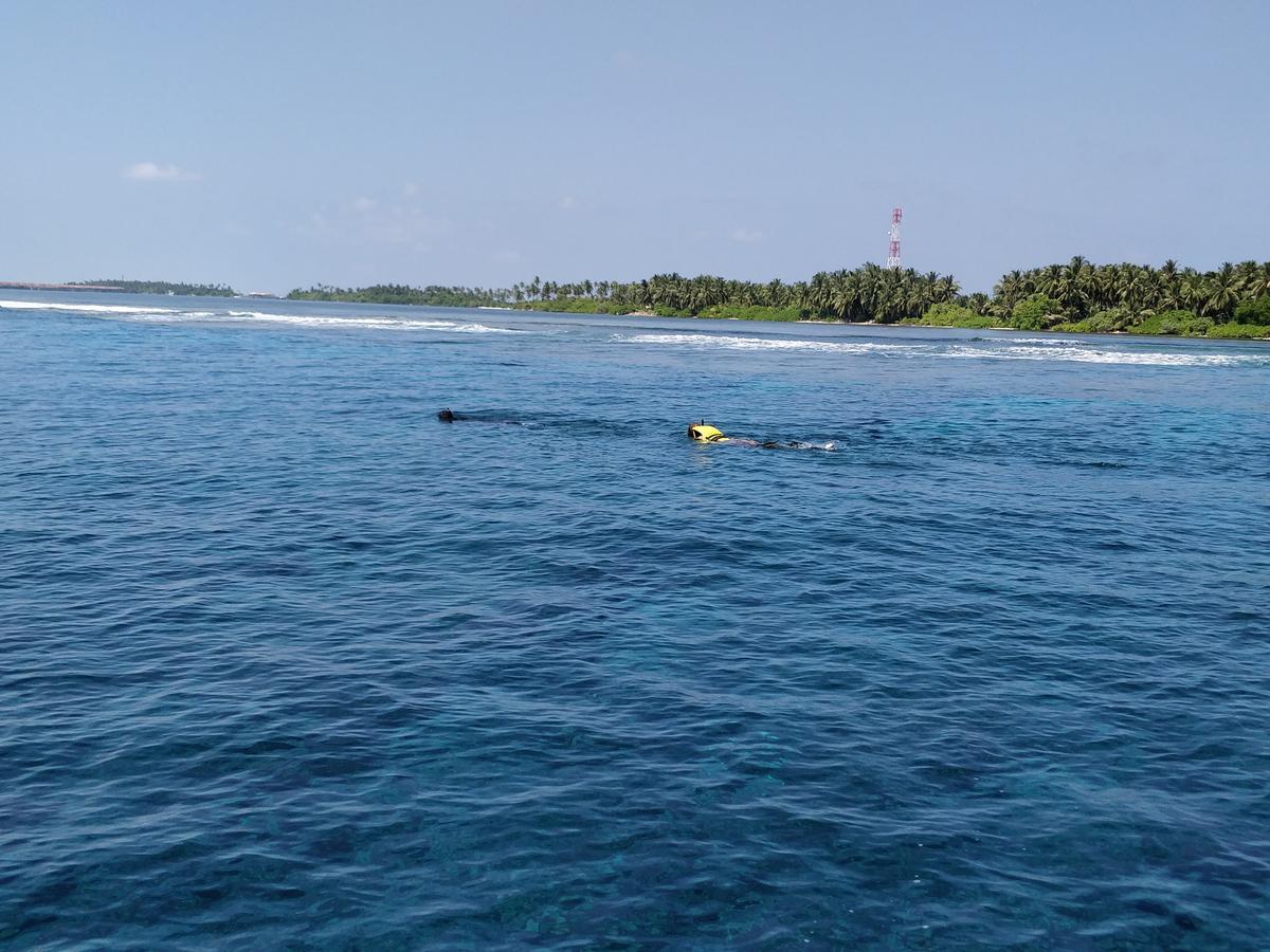 Island Guest Ξενοδοχείο Maamendhoo Εξωτερικό φωτογραφία
