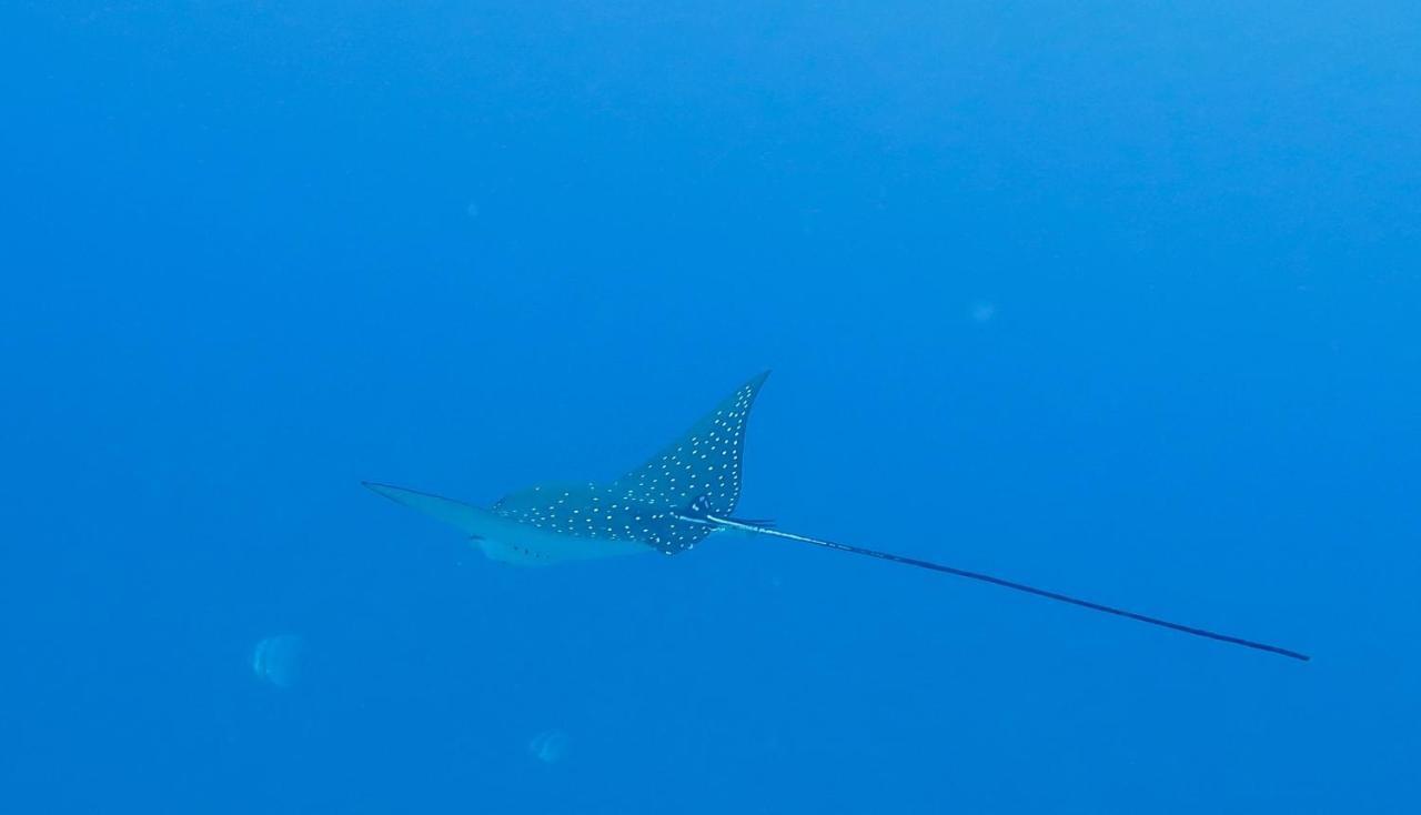 Island Guest Ξενοδοχείο Maamendhoo Εξωτερικό φωτογραφία